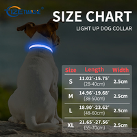 Collier pour chien lumineux à LED personnalisé en gros de Chine, accessoires pour animaux de compagnie, collier pour chien à LED rechargeable et étanche