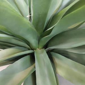 Paisaje de las plantas de <span class=keywords><strong>interior</strong></span> o al aire libre decoración falso plantas de <span class=keywords><strong>Agave</strong></span> - Product Image 3