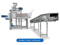 Productielijn voor het maken van fruitsap, sinaasappel-, appel-, gember-, mango-, citroen- en ananassap met koudgeperste sapcentrifuge.