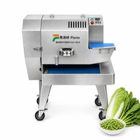 Automatische Peterselie Ui Radijs Groente Snijmachine Commerciële Fruit Selderij Boerenkool Snijmachine