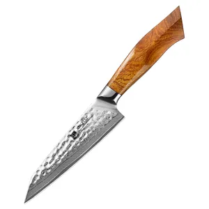 Coltello multiuso da cucina SRS13 acciaio in polvere di damasco originale giappone 49 strati in acciaio al carbonio con manico in legno di ferro del deserto scatola di legno