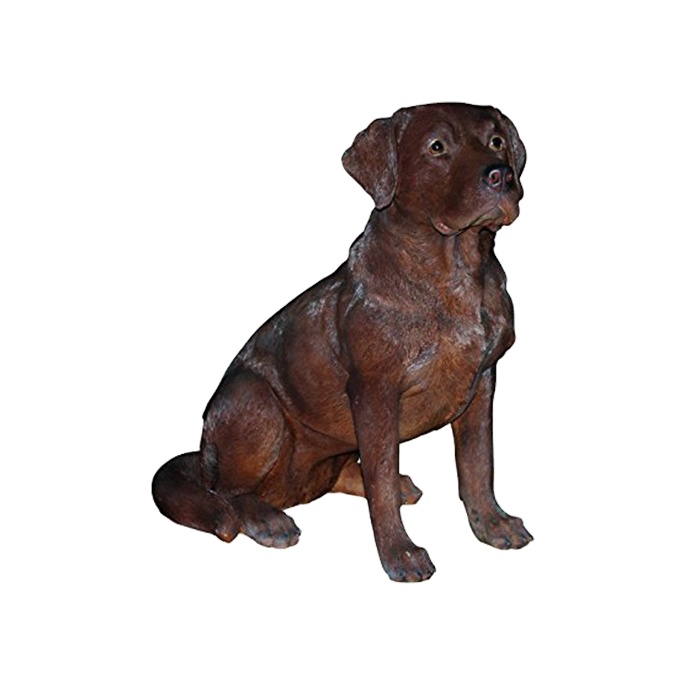 De Chocolade Van Labrador Ziet Eruit Stock Afbeelding - Image of