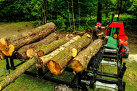 Processeur de bois de chauffage RIMA Force de division de 30 tonnes, contrôle de manette de moteur électrique 24 "longueur de travail fendeur de bûches