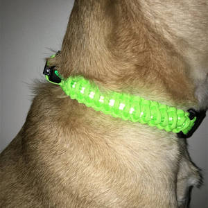 Glow in the dark Paracord bracciale collare per <span class=keywords><strong>cani</strong></span> 7 colori para perro collare led per <span class=keywords><strong>cani</strong></span> ricaricabile per cane luminoso - Product Image 4