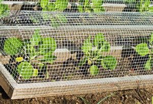 Clôture de jardin en PVC <span class=keywords><strong>pour</strong></span> chien, jouet artisanal, g, fil torsadé, couleur verte, fil de fer, vente en gros - Product Image 3
