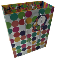 Sac cadeau en papier argenté, sac en papier avec logo imprimé personnalisé, ruban PP, poignée de cordon