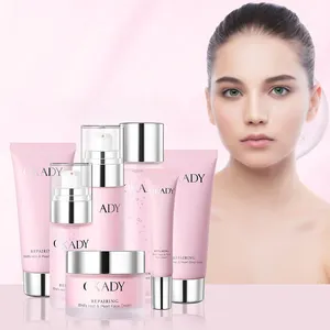 Wholesales Factory Price Anti-wrinkle Anti-aging Facial Set Skin Care Face&Body Care Kit Natural Clean Beauty Mini Skin Care Set