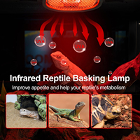 Lampe chauffante infrarouge REPTIZOO avec support G9 50W, sans émission de lumière, chaleur jour et nuit pour reptiles, volailles, dragons barbus