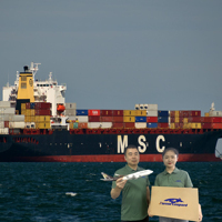 Top1 Shipping Company FBA Agent d'expédition transitaire de fret maritime de la Chine vers les États-Unis, le Royaume-Uni, le Canada et l'Australie