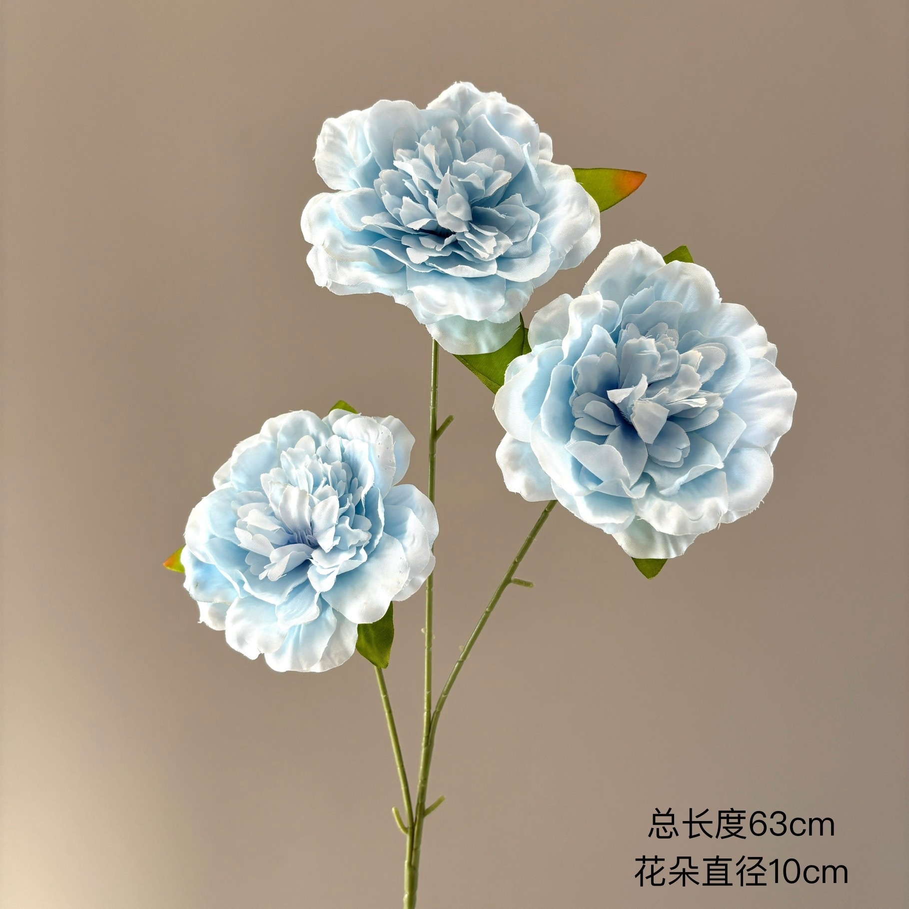 Pivoine Tournesol