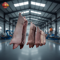 Équipement d'abattage porcin HACCP, ligne complète de transformation du porc, machinerie d'abattage des moutons, machine d'abattage des bovins