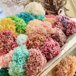 도매 자연 신선한 수국 보존 꽃과 식물 가정 장식 꽃 핑크 흰색 보존 수국 - Product Image 2