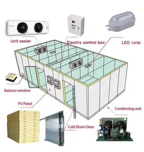 Tủ Lạnh Nhỏ Đơn Vị Blast Tủ Đông Đi Bộ Trong Buồng Thương Mại Lạnh Phòng Lưu Trữ Giá Cho Trái Cây Thịt