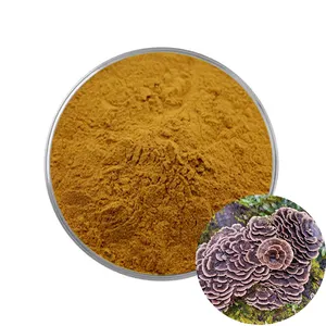 Organic Coriolus Versicolor Mushroom Extract Powder Lyphar Powder