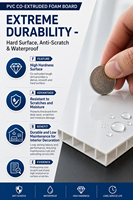 Planche en PVC co-extrudé pour gravure CNC professionnelle, 4 mm-18 mm, imperméable, haute densité, feuille de mousse PVC pour décoration murale, cloison