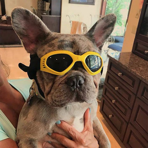 Lunettes pliables pour chiens, lunettes de soleil coupe-vent pour chiens <span class=keywords><strong>avec</strong></span> bande élastique réglable, lunettes pour animaux de compagnie <span class=keywords><strong>avec</strong></span> protection contre la poussière UV, vente en gros - Product Image 6
