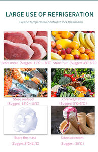 <span class=keywords><strong>C50</strong></span> 50L Mini Voiture Réfrigérateur Alpicool Boîtier Métallique DC 12/24V/AC100-240V Portable Réfrigérateur Voyage Congélateur - Product Image 3