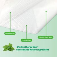 CMP douloureux Muscle et algétique Articulation gel froid packs Douleur à action rapide apaisant Menthol Soulagement ciblé de la douleur patch de gel
