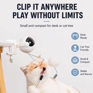 Jouet interactif intelligent électrique populaire pour chat, robot automatique d'entraînement IQ, jouet de jeu <span class=keywords><strong>Yoyo</strong></span>, jouet de pêche pour chat d'intérieur - Product Image 2