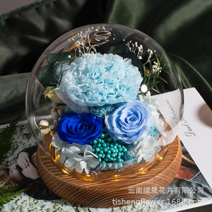 Rose éternelle enchantée, rose éternelle infinie, rose éternelle préservée dans un dôme en verre avec lumière LED - Product Image 5