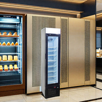 Fujidenzo Congélateur vertical à température unique Petit congélateur de supermarché ouvert pour équipement de réfrigération