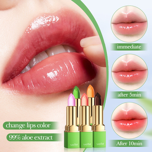OEM SADOER Etiqueta Privada coreana multicolor lápiz labial belleza cosmética gran oferta descuento impermeable 24H mate y brillante lápiz labial - Product Image 6