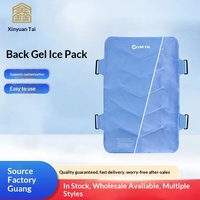 Compresse froide et chaude multifonction pour les hanches et le dos, sac de glace pour soulager la douleur, physiothérapie à domicile, coussin en flanelle rafraîchissant réutilisable, classe II
