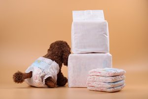 Pañales Desechables para Perros Hembras YOfoke, Certificación ISO9001, OEM, Alta Absorbencia, Protección Contra Fugas, Transpirables, Hechos de Algodón - Product Image 2