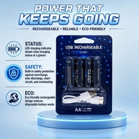 Piles rechargeables AA au nickel-zinc 1,6 V avec câble USB-C 1,8 Wh