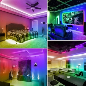 Al Aire Libre impermeable IP65 Flexible 12V Lámpara decorativa 5M RGB Smart <span class=keywords><strong>LED</strong></span> <span class=keywords><strong>Strip</strong></span> Light Channel con control remoto - Product Image 5