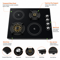 Table de cuisson hybride GPL et électrique avec 2 brûleurs et 2 plaques chauffantes électriques, surface en verre, pour usage domestique et en camping-car