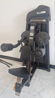 Machine de musculation professionnelle Delt Machine, poids 70 kg (154 lb), presse épaules sélectionnable, entraînement de levée latérale assise