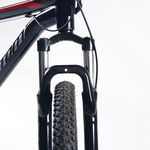 जापान में इस्तेमाल किया ई बाइक बंद सड़क पहाड़ इलेक्ट्रिक बाइक साइकिल पाकिस्तान - Product Image 4