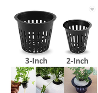 Pots à filet en plastique de 3 ", filet hydroponique, tasse à mailles