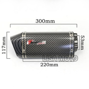 Tubo de Escape para Motocicleta de 51 mm con Adhesivo de Marca, Silenciador de 3 Orificios para Motocicleta, Escape para Hyosung GT GTR250 GT GTR650 G164 - Product Image 6