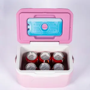 IceMaster Beer Can bere Ice Cooler Box vaccino sanguigno plastica promozione a basso prezzo Mini 5.5L 10.5L 20L Carry Food Cooler Box