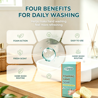 Tablettes de savon moussant naturel personnalisées avec logo, tablettes solides effervescentes pour le lavage des mains, pour les marques éco-responsables