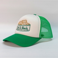 Gorra de malla de esponja para conductor de camión, con logotipo personalizado bordado, gorra publicitaria con patrón impreso, transpirable, protección solar, deportiva para hombre