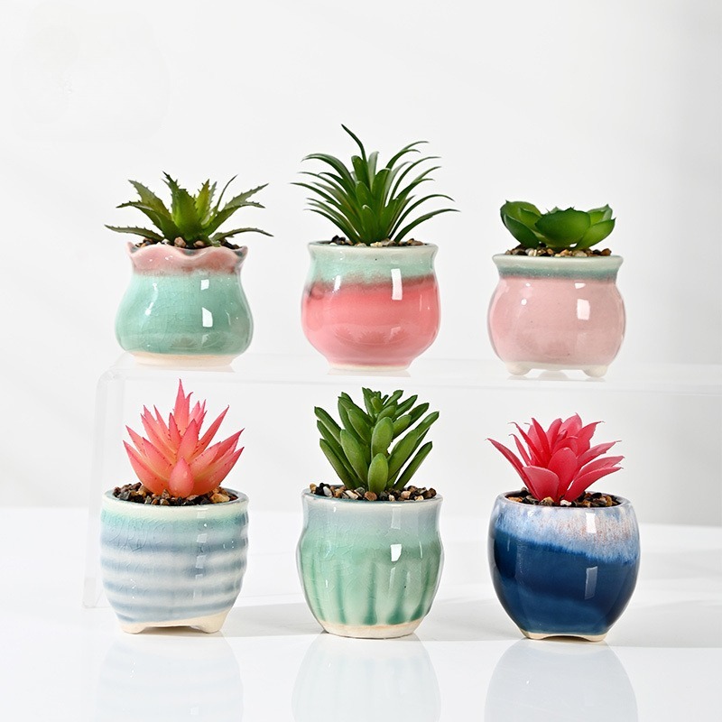 Mix di Colori (6 Vasi con Piante Grasse Artificiali)