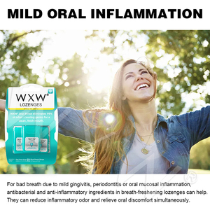 แผ่นฟิล์มบางละลายเร็วกลิ่นปากกลิ่นผลไม้รสมิ้นท์ช่วยขจัดกลิ่นปากไม่ติดทนนานช่วยให้ลมหายใจสดชื่นละลายในช่องปาก - Product Image 2