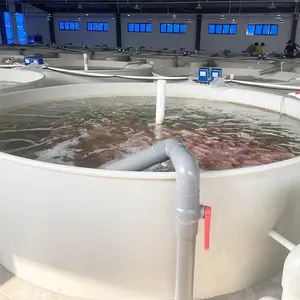 OEM कस्टम ras उष्णकटिबंधीय मछली प्रजनन grouper खेत पूर्ण सिस्टम उपकरण