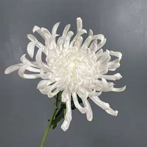 Chrysanthème simulé, branche unique, fleur artificielle, décoration de la maison, décoration de scène de mariage, décoration d'hôtel - Product Image 6