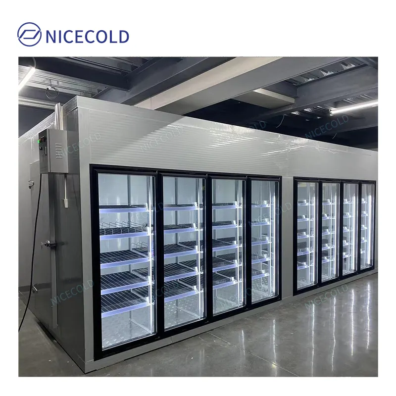 Supermarket Display Walking Cooler Cold Room Freezer with Glass Door Led Light