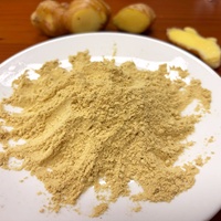 Poudre de gingembre 100 mesh, épice naturelle pure et saine du Guangxi pour la transformation alimentaire
