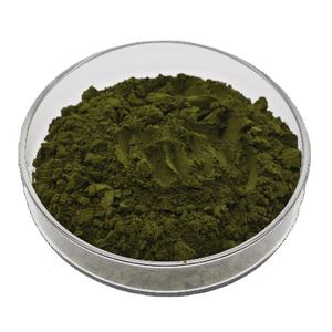 Polvo de Chlorella de algas orgánicas superalimento verde de Venta caliente - Product Image 2