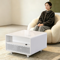 Mini-réfrigérateur de chevet 65L avec zone de refroidissement et contrôle de température réglable pour chambre et salon