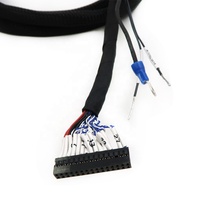 YZlink Factory Professional Kunden spezifische, hochwertige Kabelbaum baugruppe mit LVDS-Adapter-Verlängerungskabel-Haushalts geräten