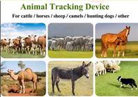 Etiqueta de Identificación Electrónica con GPS Solar, WiFi, LBS, Monitor de Actividad, Alerta de Paddock, IP67 para Ganado Lechero