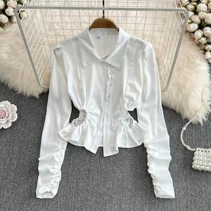 All'ingrosso di alta qualità alla moda elegante camicetta <span class=keywords><strong>a</strong></span> <span class=keywords><strong>manica</strong></span> <span class=keywords><strong>lunga</strong></span> Crop Top vendita calda <span class=keywords><strong>vestiti</strong></span> da donna - Product Image 2