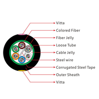 Cable de Fibra Óptica Blindado Subterráneo GYTS para Ducto 12C 24C 48C 96C 144C 288C